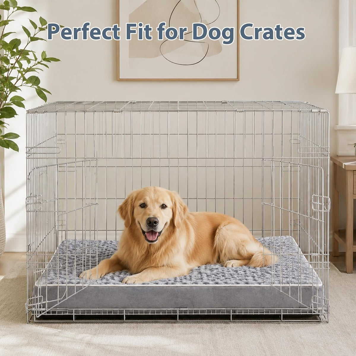 Premium Orthopedic XL Dog Bed for Senior Dogs - Washable Grey Comfort