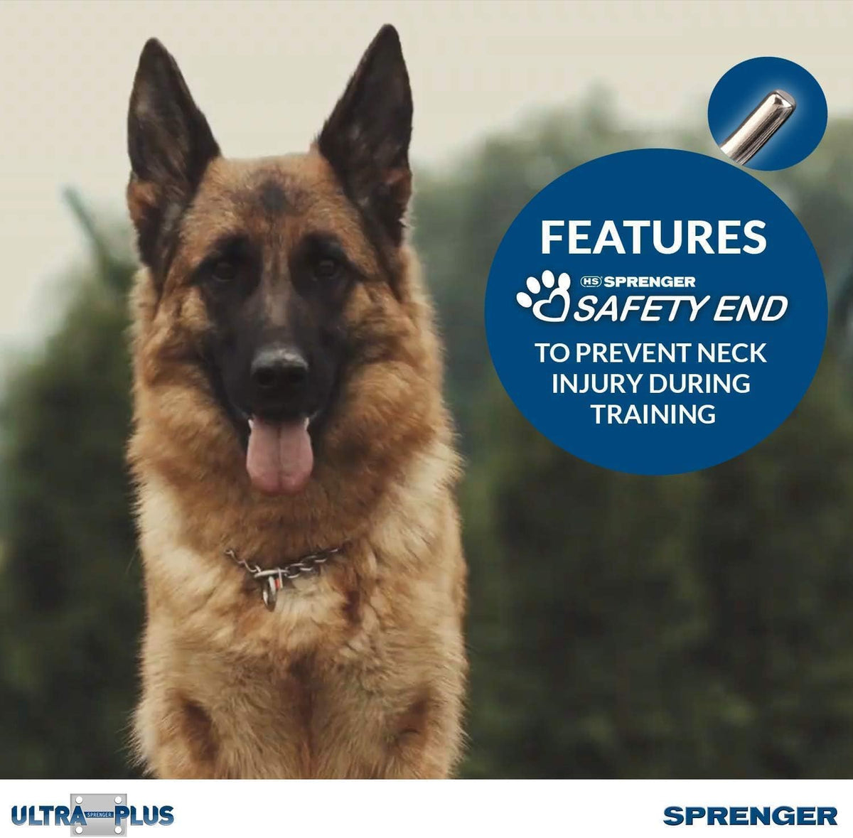 Premium Chrome Plated Steel Dog Training Prong Collar with Quick Release Snap - 23In (58Cm) X 3.2Mm, Fits Neck Sizes Up to 19 Inches