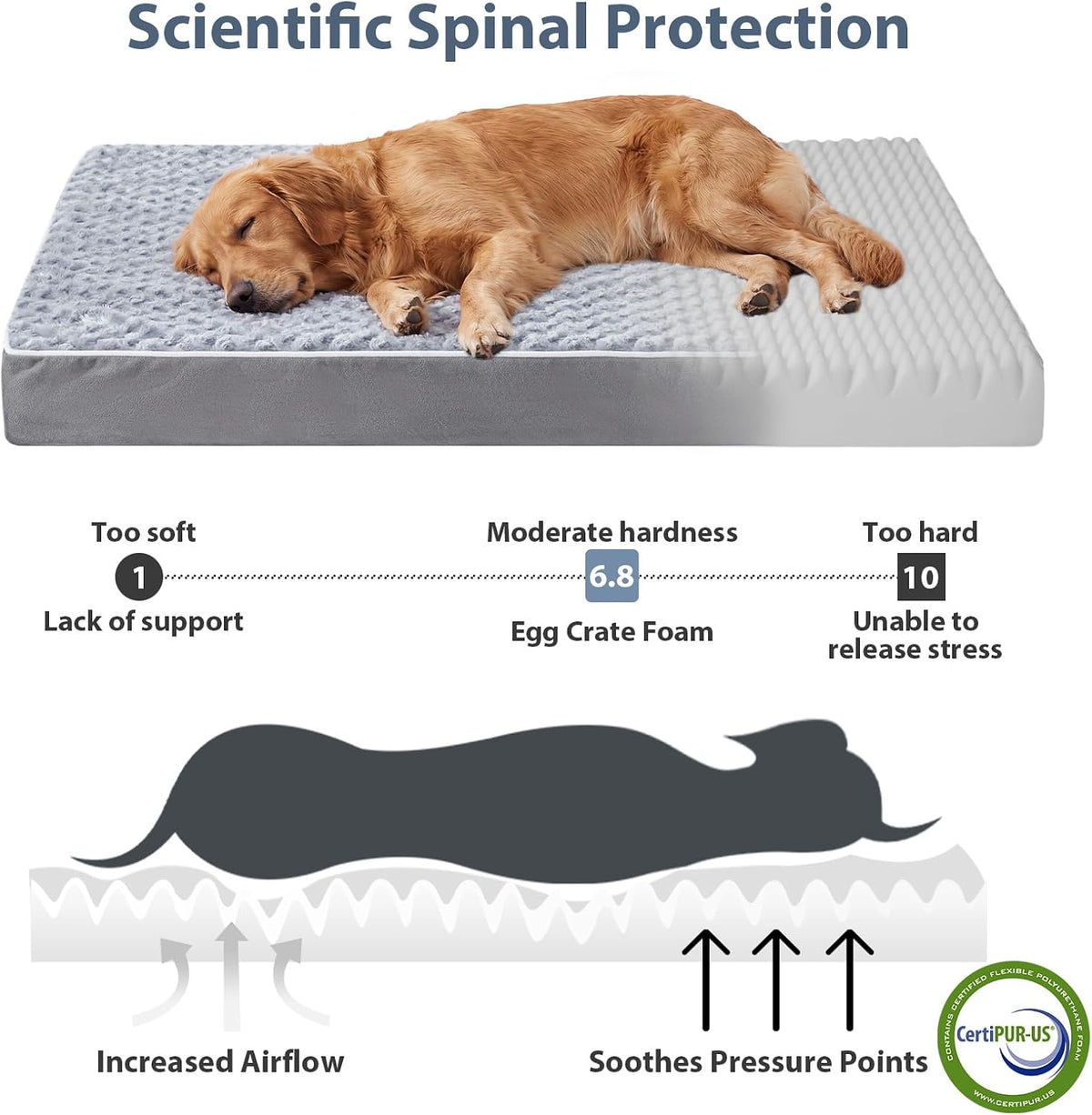 Premium Orthopedic XL Dog Bed for Senior Dogs - Washable Grey Comfort