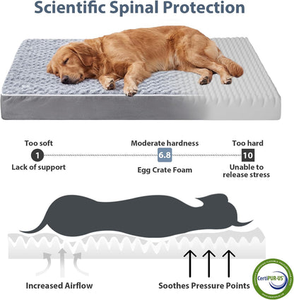 Premium Orthopedic XL Dog Bed for Senior Dogs - Washable Grey Comfort