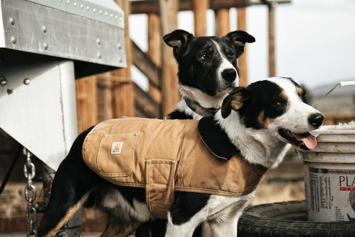 Durable Brown Insulated Dog Coat - Weather Resistant & Perfect for Cold, Windy Days - Large Size