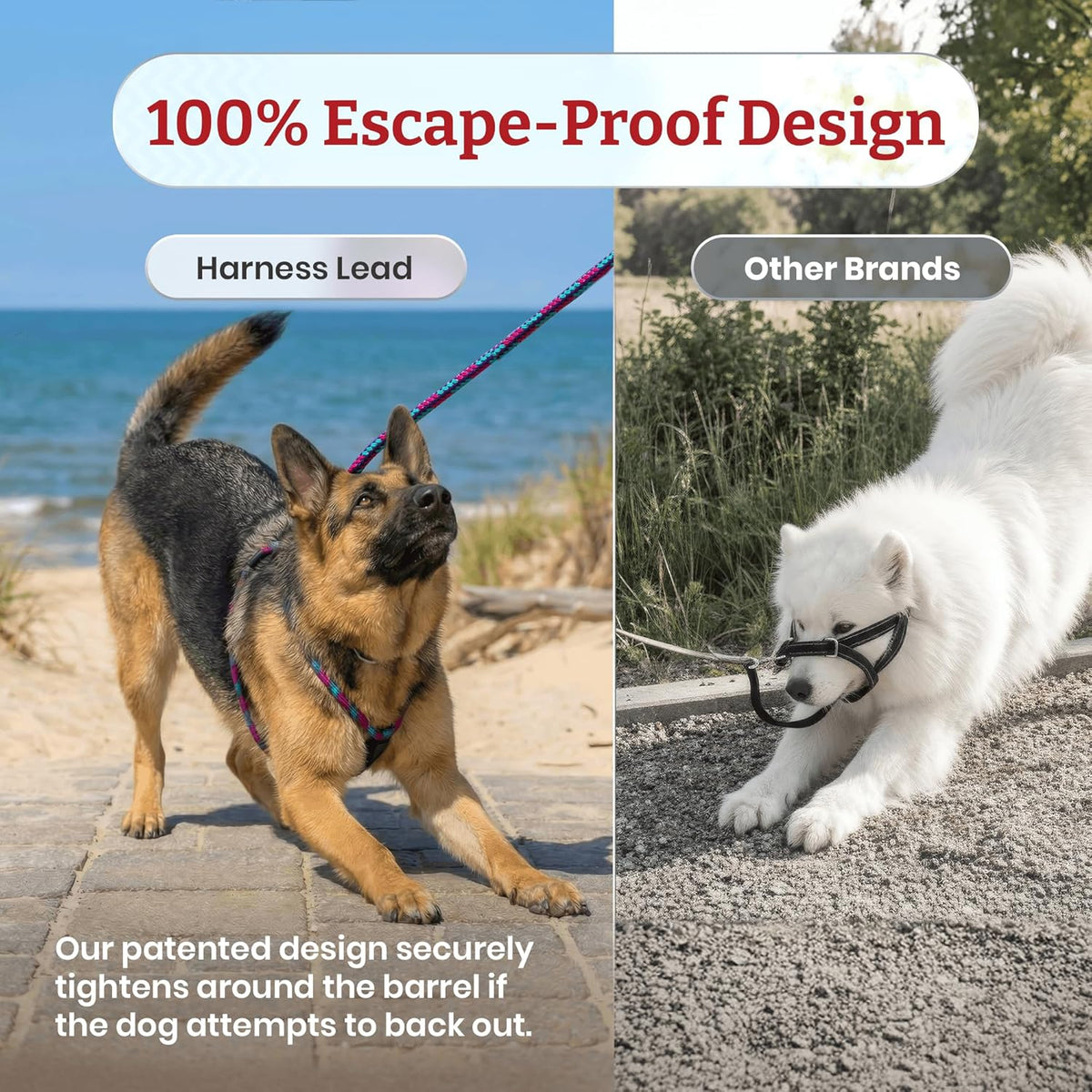 Ultimate No Pull Dog Harness & Leash Set - Cushioned, Reflective Design for All Breeds - Escape-Proof & Comfortable (Small/Medium, Orange)