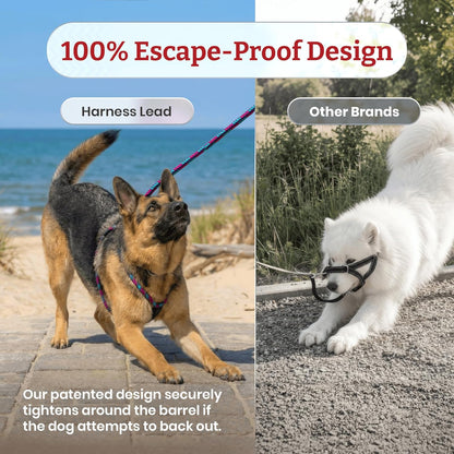 Ultimate No Pull Dog Harness & Leash Set - Cushioned, Reflective Design for All Breeds - Escape-Proof & Comfortable (Small/Medium, Orange)