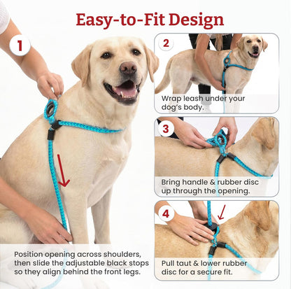 Ultimate No Pull Dog Harness & Leash Set - Cushioned, Reflective Design for All Breeds - Escape-Proof & Comfortable (Small/Medium, Orange)