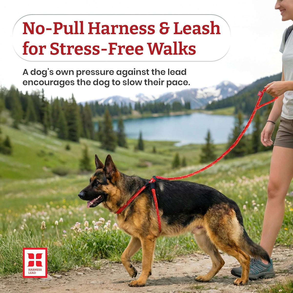 Ultimate No Pull Dog Harness & Leash Set - Cushioned, Reflective Design for All Breeds - Escape-Proof & Comfortable (Small/Medium, Orange)