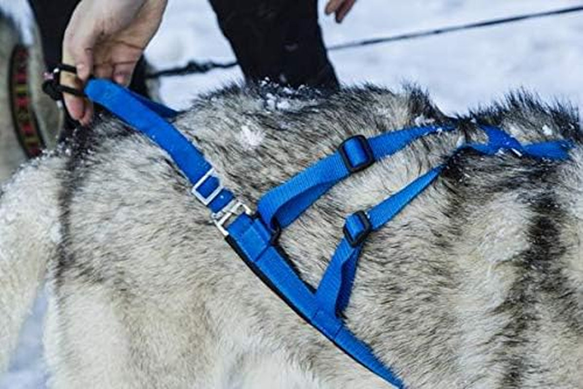 Adjustable Sled Pro Harness - Large, Blue, Dog Pulling Harness, Great for Dog Joring