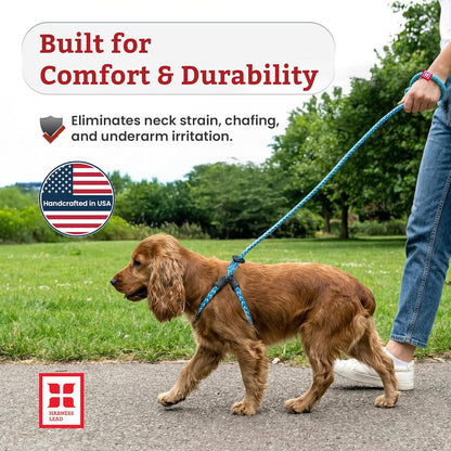Ultimate No Pull Dog Harness & Leash Set - Cushioned, Reflective Design for All Breeds - Escape-Proof & Comfortable (Small/Medium, Orange)