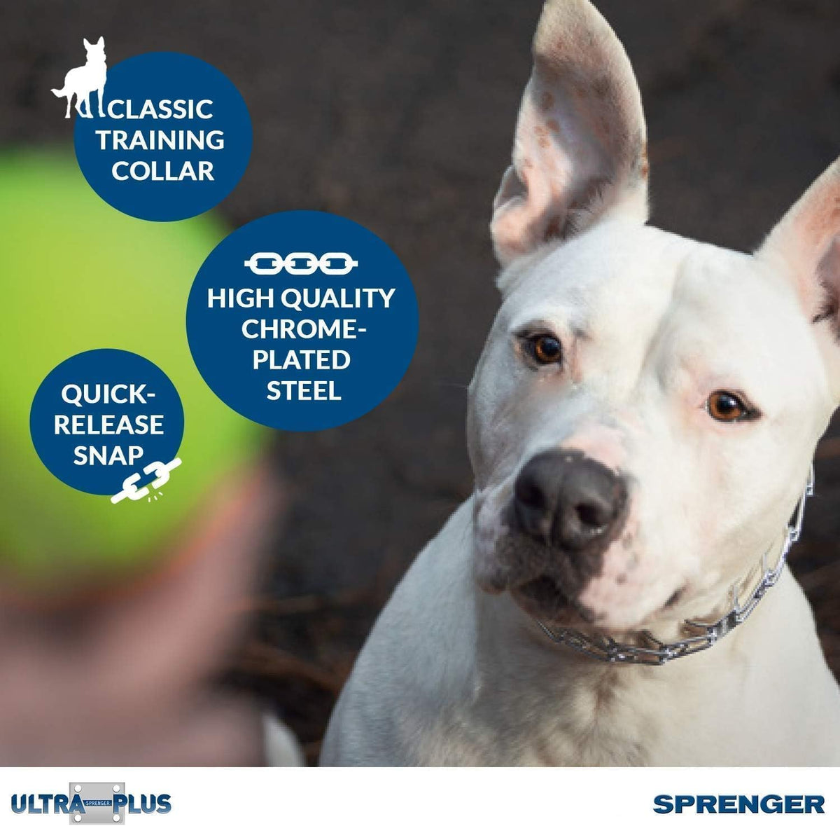 Premium Chrome Plated Steel Dog Training Prong Collar with Quick Release Snap - 23In (58Cm) X 3.2Mm, Fits Neck Sizes Up to 19 Inches