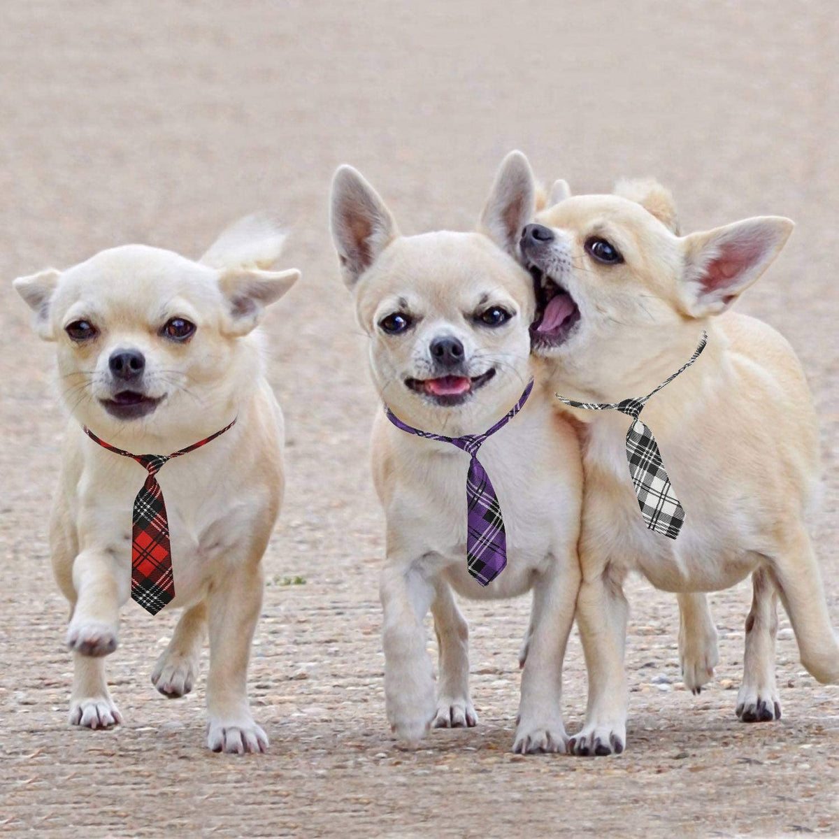30 PCS Adjustable Dog Neckties & Bowties - Stylish Accessories for Medium to Large Pets - Perfect for Holidays, Weddings, and Special Occasions